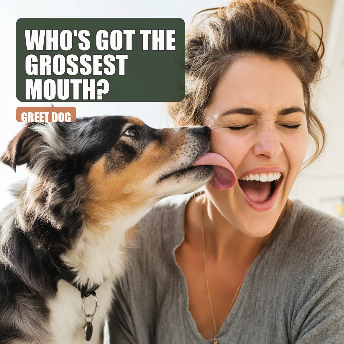 Happy dog licking a surprised person's face in bright sunlight