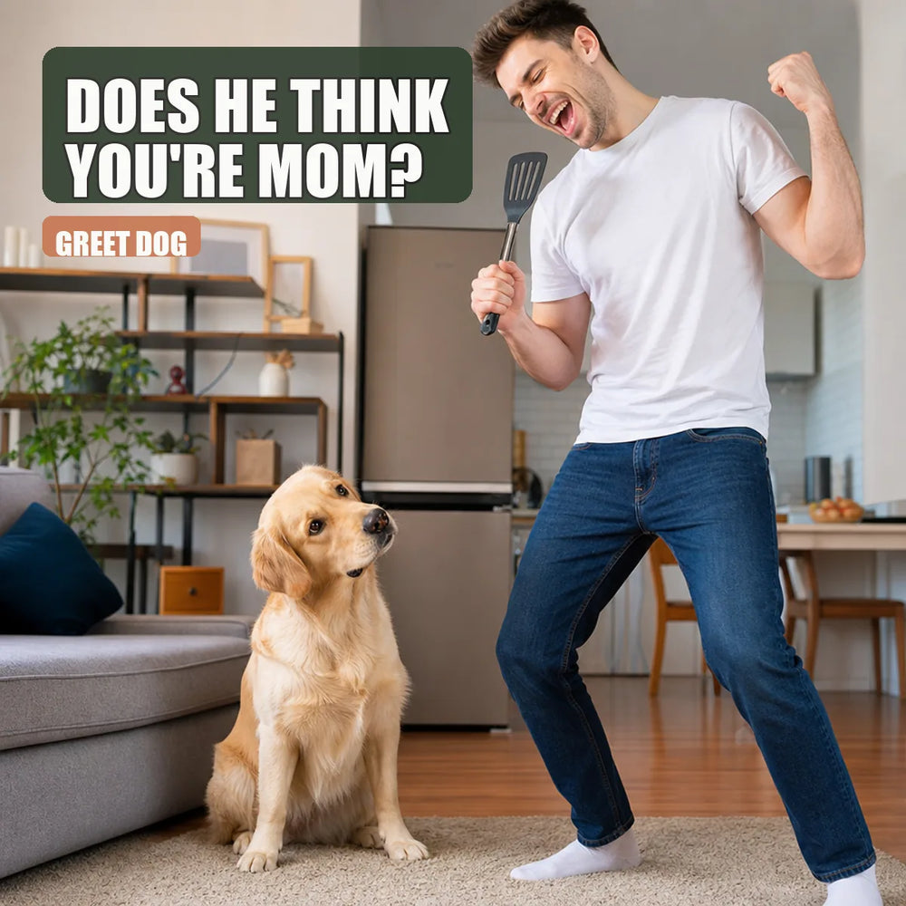 Dog watching human do something silly in bright modern living room