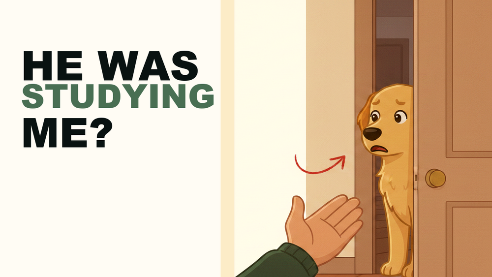 A nervous doodle peeking around a doorway, watching a gentle hand in a soft, cozy home.