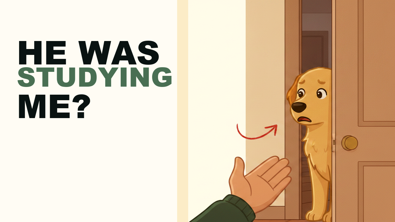 A nervous doodle peeking around a doorway, watching a gentle hand in a soft, cozy home.