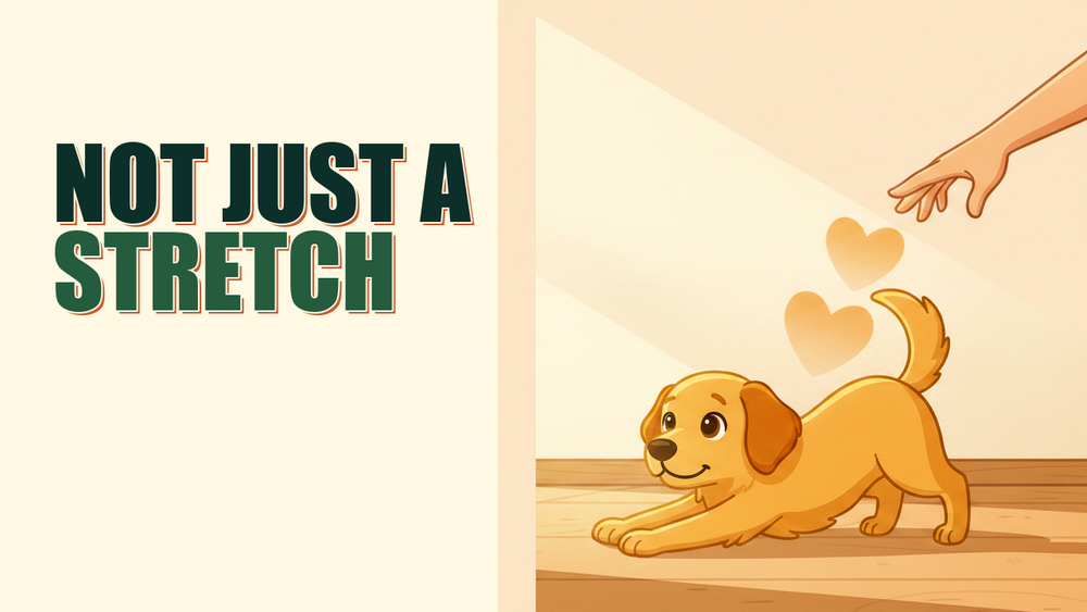 Golden-yellow dog stretching at the door, looking up at owner with heart-shaped glow connecting them.