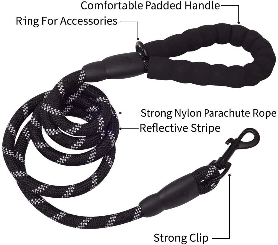 5 ft black nylon dog leash with reflective stripes, padded handle, and strong clip for enhanced control during walks.