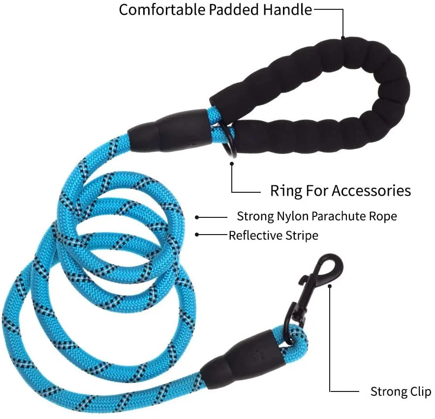Durable blue nylon dog leash with padded handle, reflective stripe, and strong clip for control and comfort during walks.