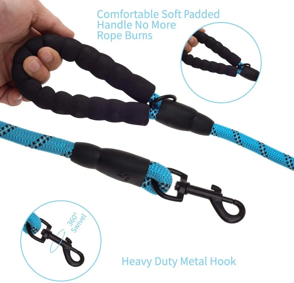 Green 5-foot dog leash featuring a padded handle for comfort, durable nylon rope, and a heavy-duty metal clasp.