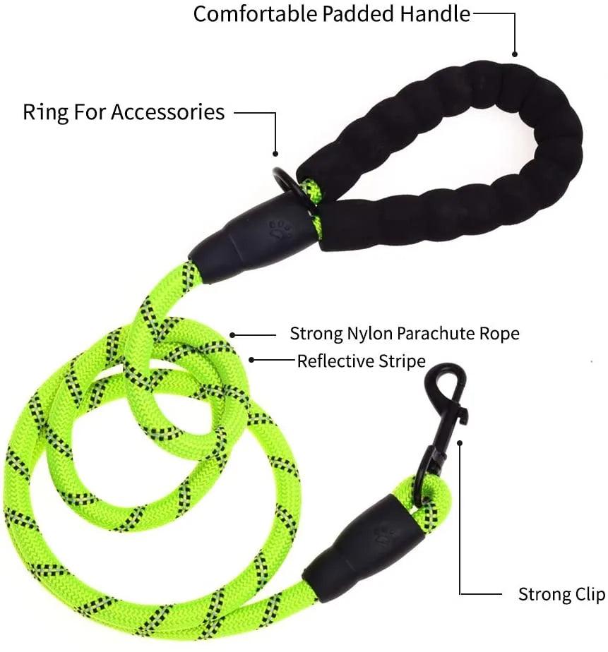 Green reflective dog leash with padded handle, strong nylon rope, and durable metal clasp for training and walking.
