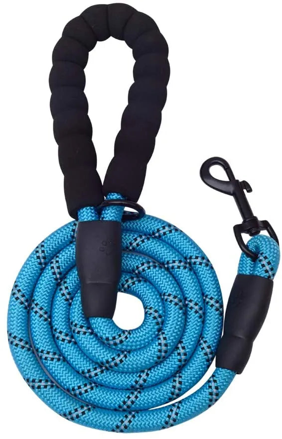 Thick blue dog leash with padded handle, durable nylon, and a metal clasp, coiled neatly for easy storage.