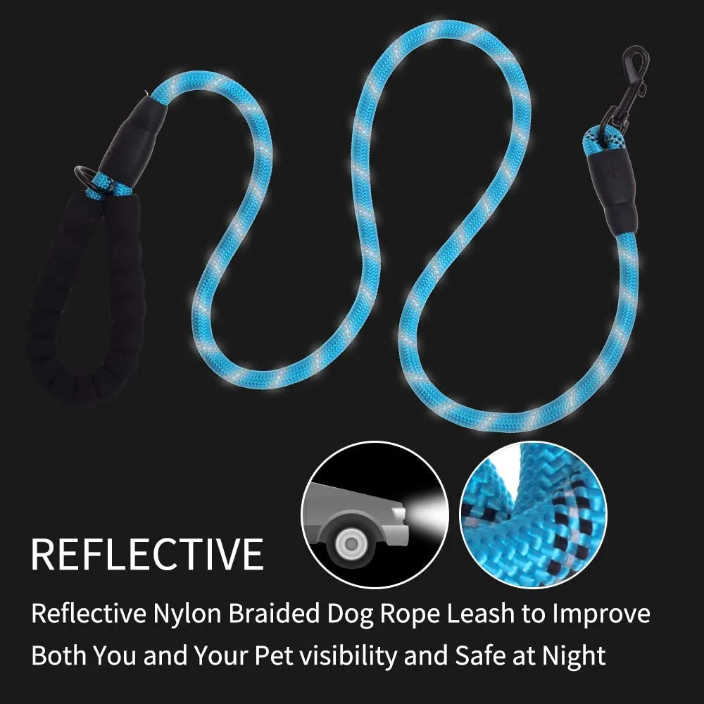 5 FT reflective dog leash in blue with a padded handle, designed for comfort and visibility during evening walks.