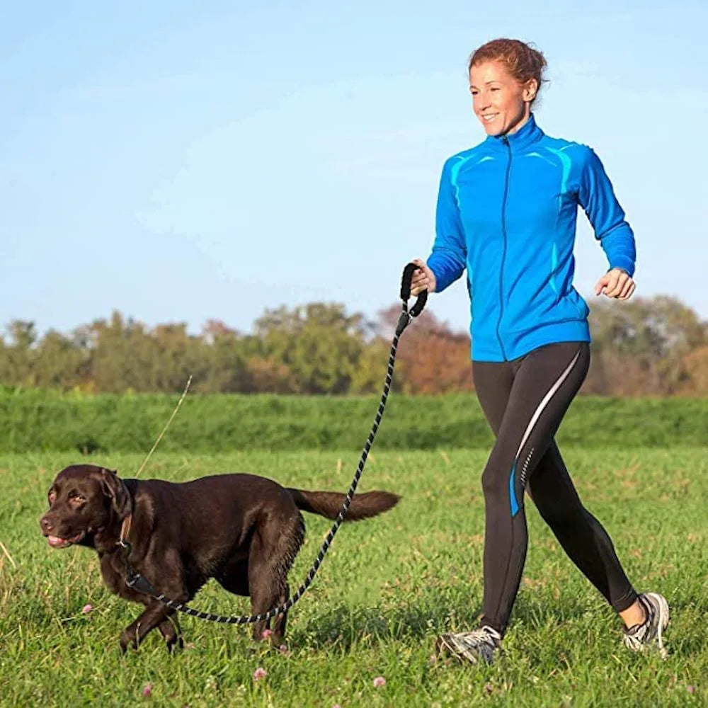 A woman jogs with a chocolate Labrador on a 5 FT thick red reflective dog leash in a grassy field.