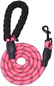 6 FT Dog Leash for Large and Medium Dogs - Pink