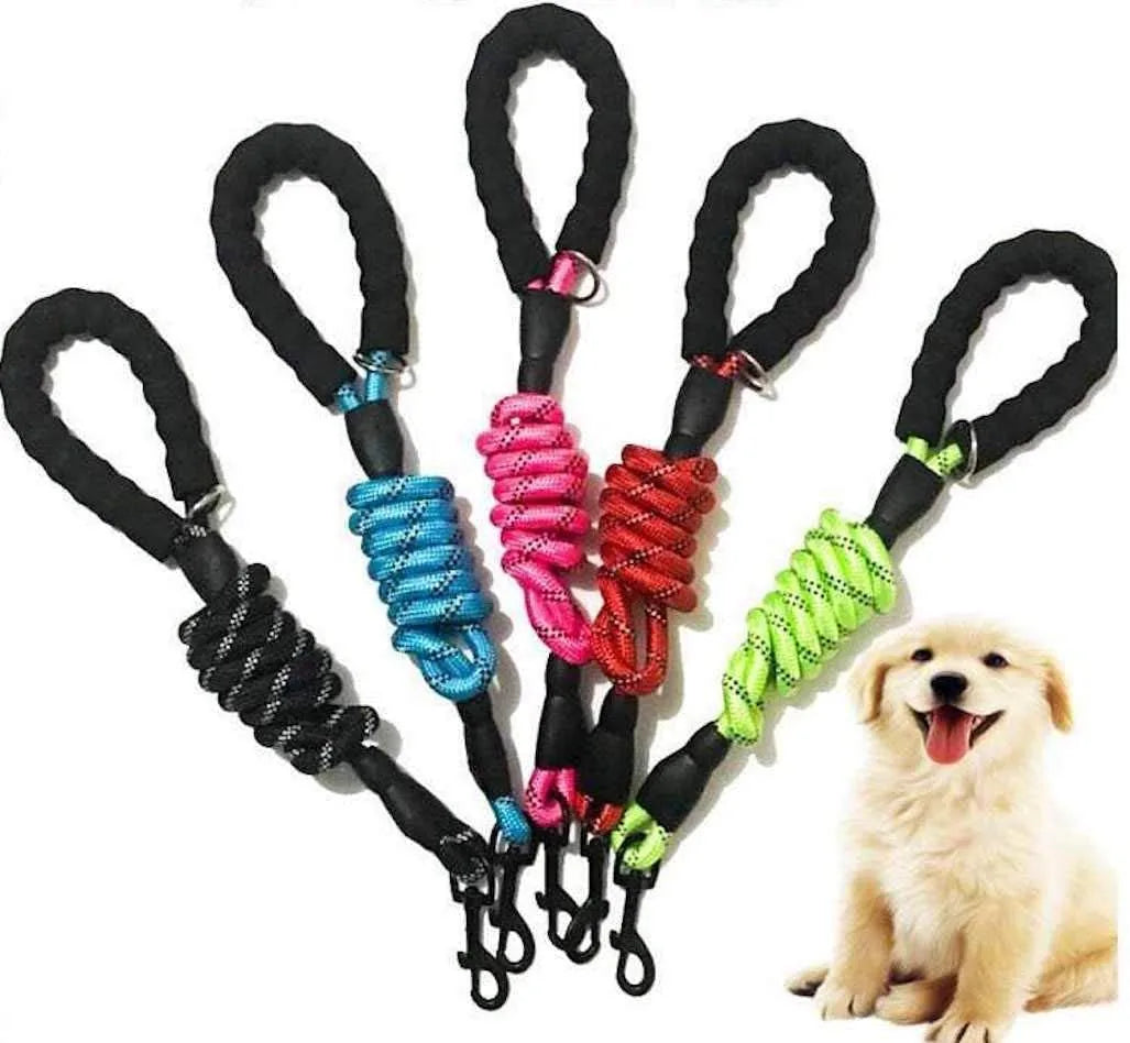 Five colorful 6-foot dog leashes in pink, blue, red, green, and black, showcased with a smiling puppy.