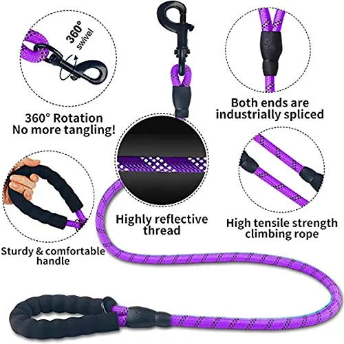 Purple 6-foot dog leash made of strong nylon climbing rope with a padded handle and reflective strips for evening visibility.