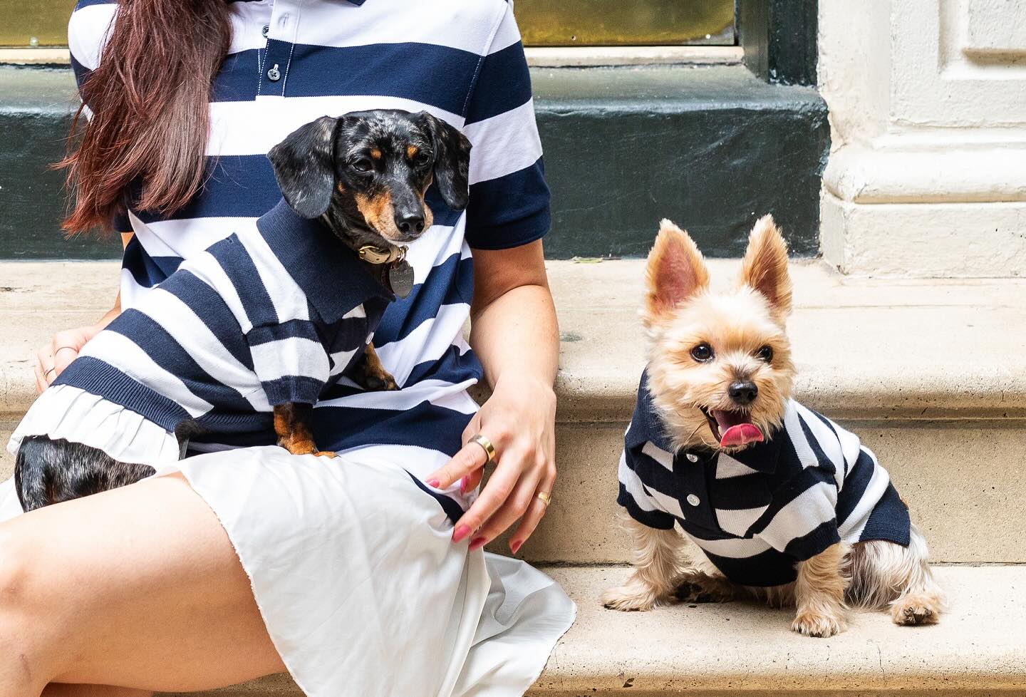 Bespoke Paws luxury dog fashion brand logo