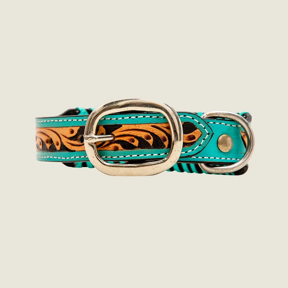 Acety hand-tooled leather dog collar in turquoise with a decorative orange and black flame pattern.