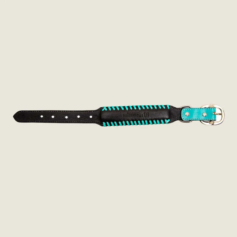 Acety hand-tooled leather dog collar featuring turquoise accents on durable black leather. Ideal for everyday use.