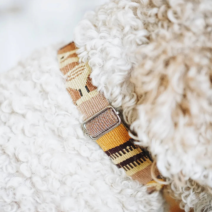 Adjustable boho dog collar featuring vibrant earth tones and unique patterns, secured with metal hardware.
