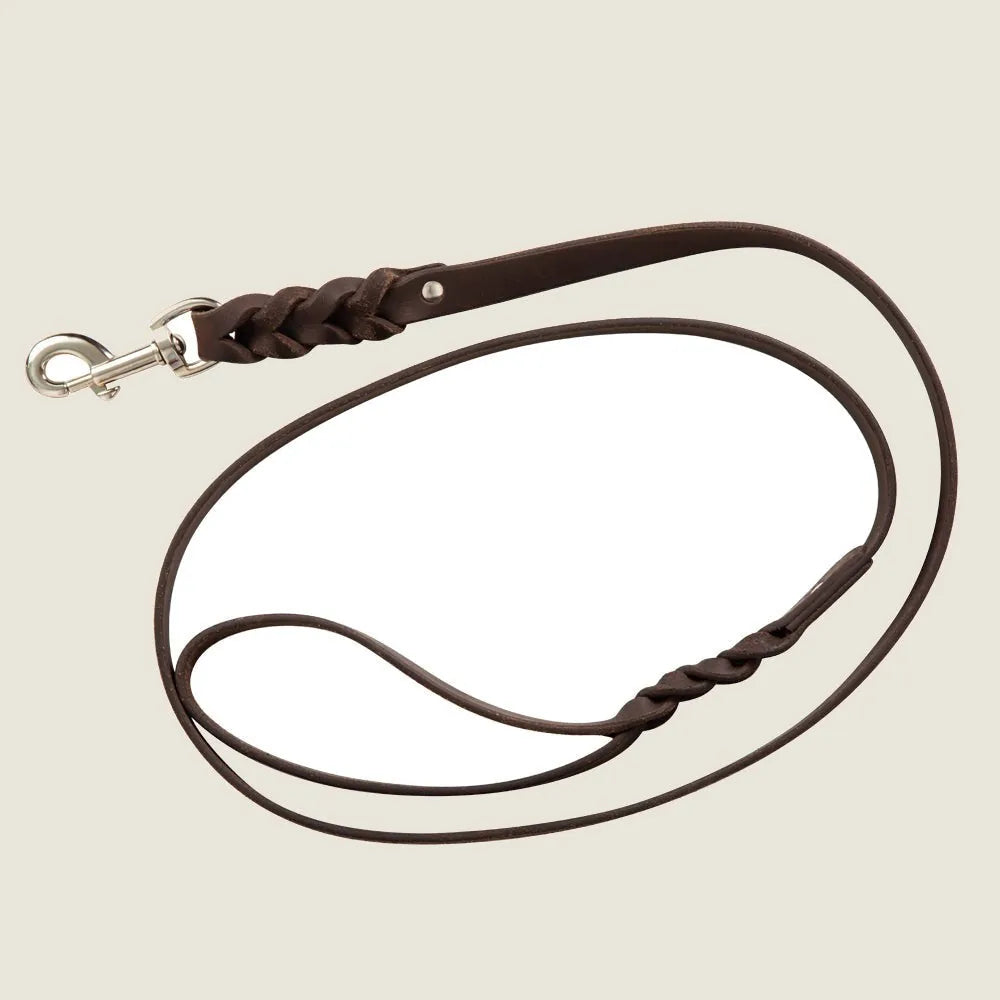 Deep chocolate brown leather dog leash with braid accents and a metal clasp for secure attachment. 60 inches long.