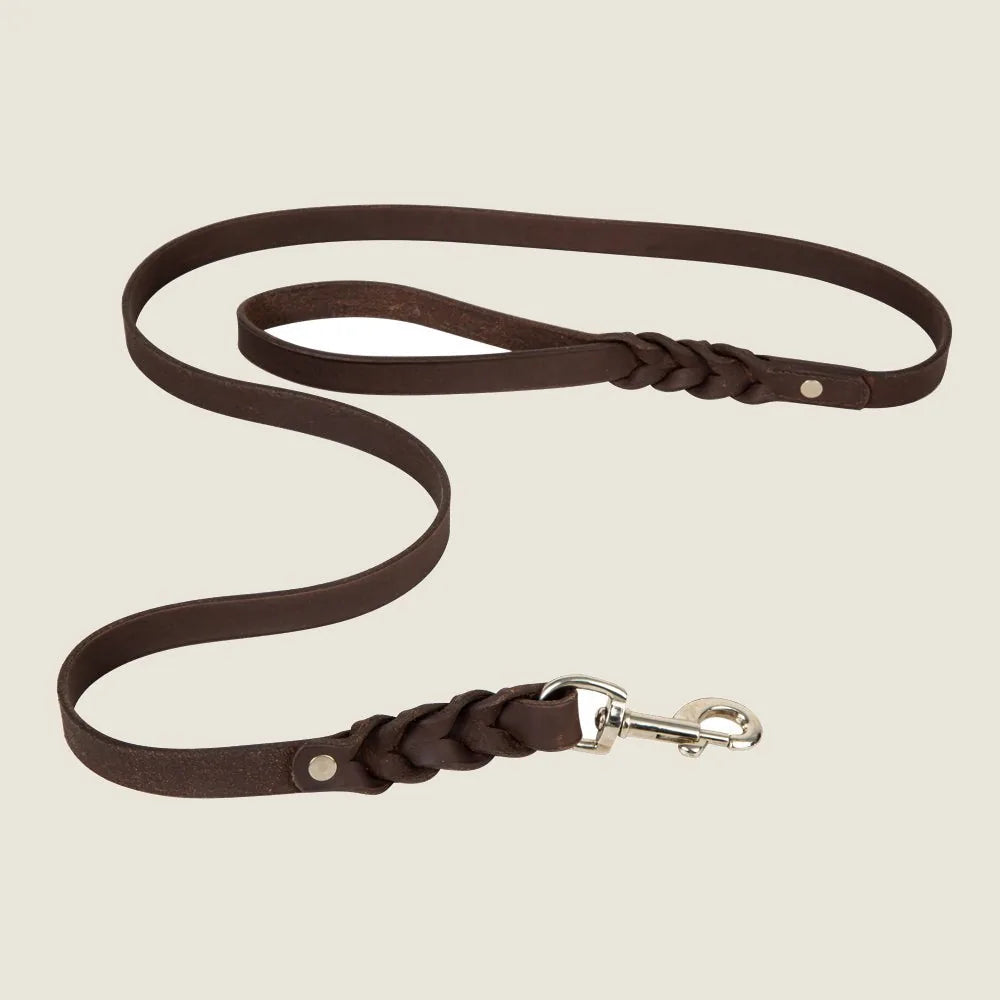 Deep chocolate brown leather dog leash featuring braid accents and a metal clasp for secure attachment.