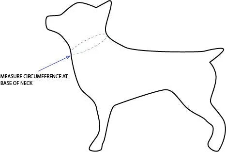 Diagram showing a dog silhouette with markings for measuring neck circumference, ideal for pet owners.