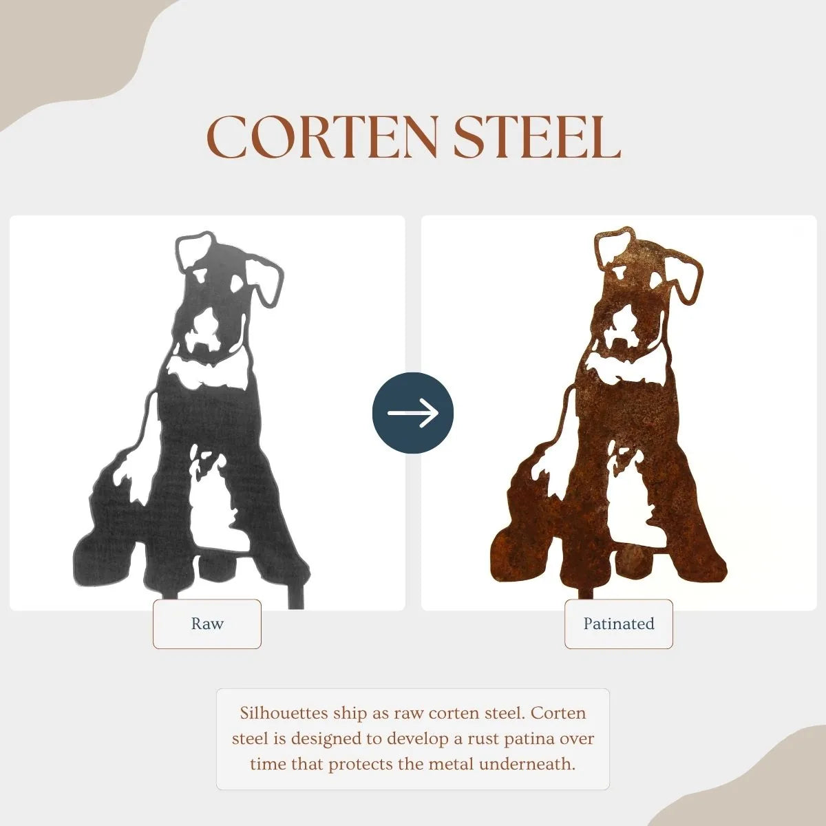 Airedale Terrier silhouette in raw corten steel, showcasing its unique black finish transitioning to a rust patina.