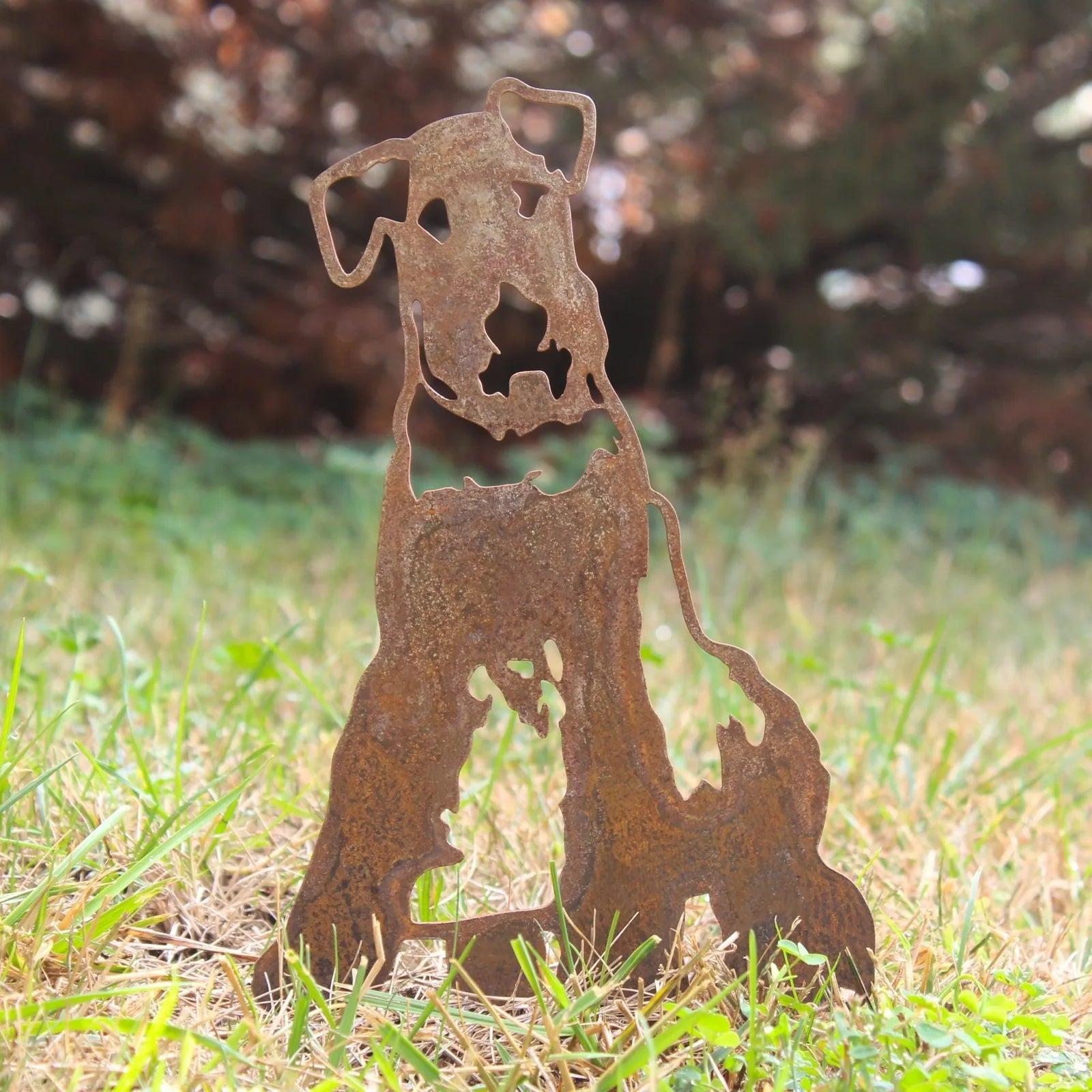 Rusty Airedale Terrier metal silhouette in grassy outdoor setting, showcasing a rustic design by My Metal Rescue.