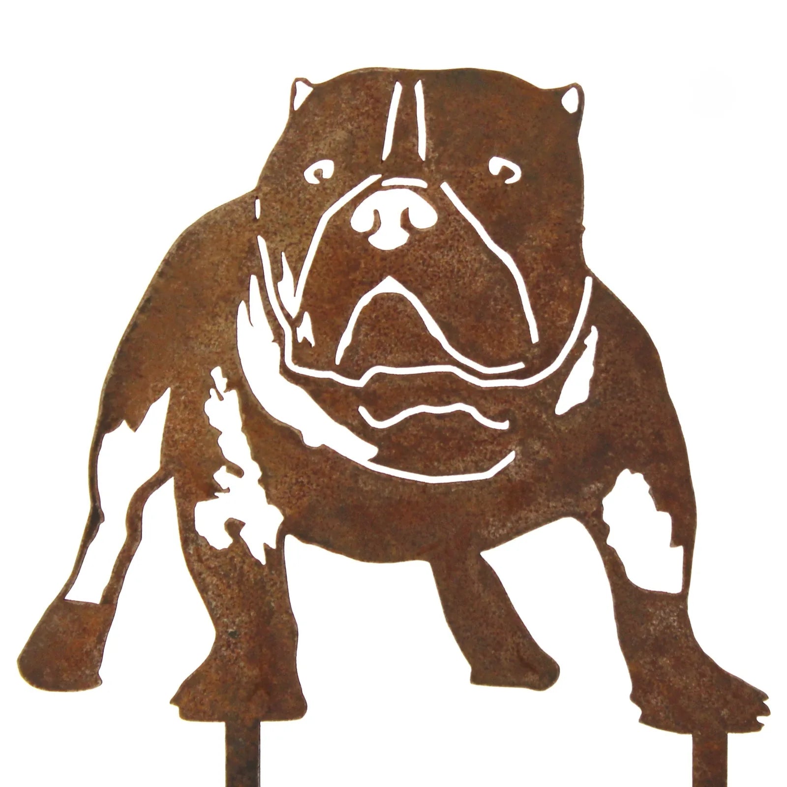 Rusty Corten steel silhouette of an American Bully with pronounced features, suitable for outdoor display.