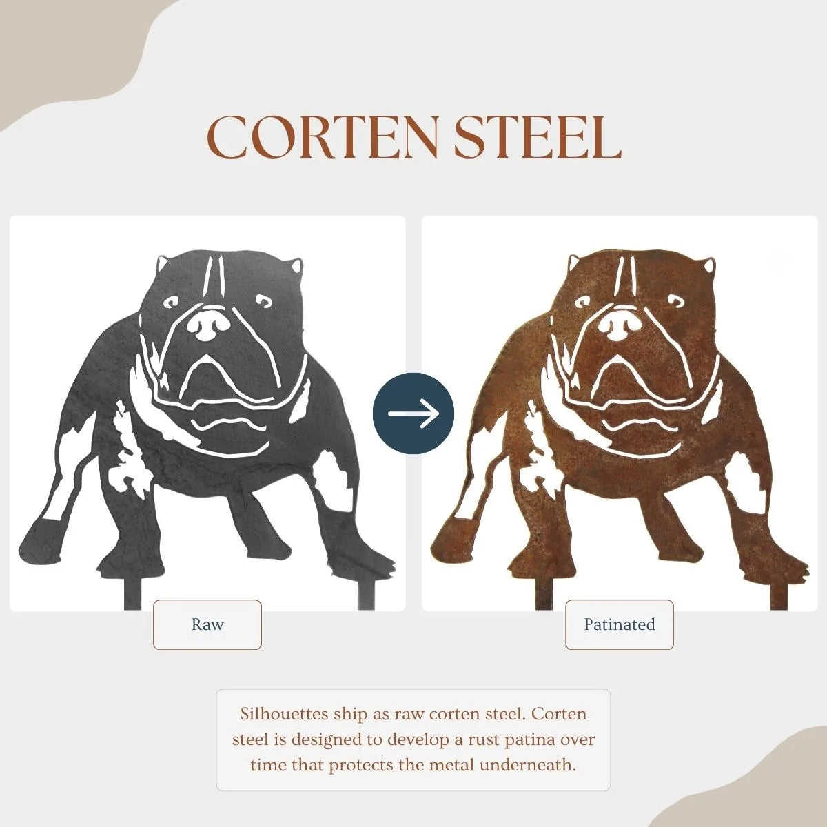 American Bully silhouette in raw and patina Corten steel showcases unique weathering and artistic design.