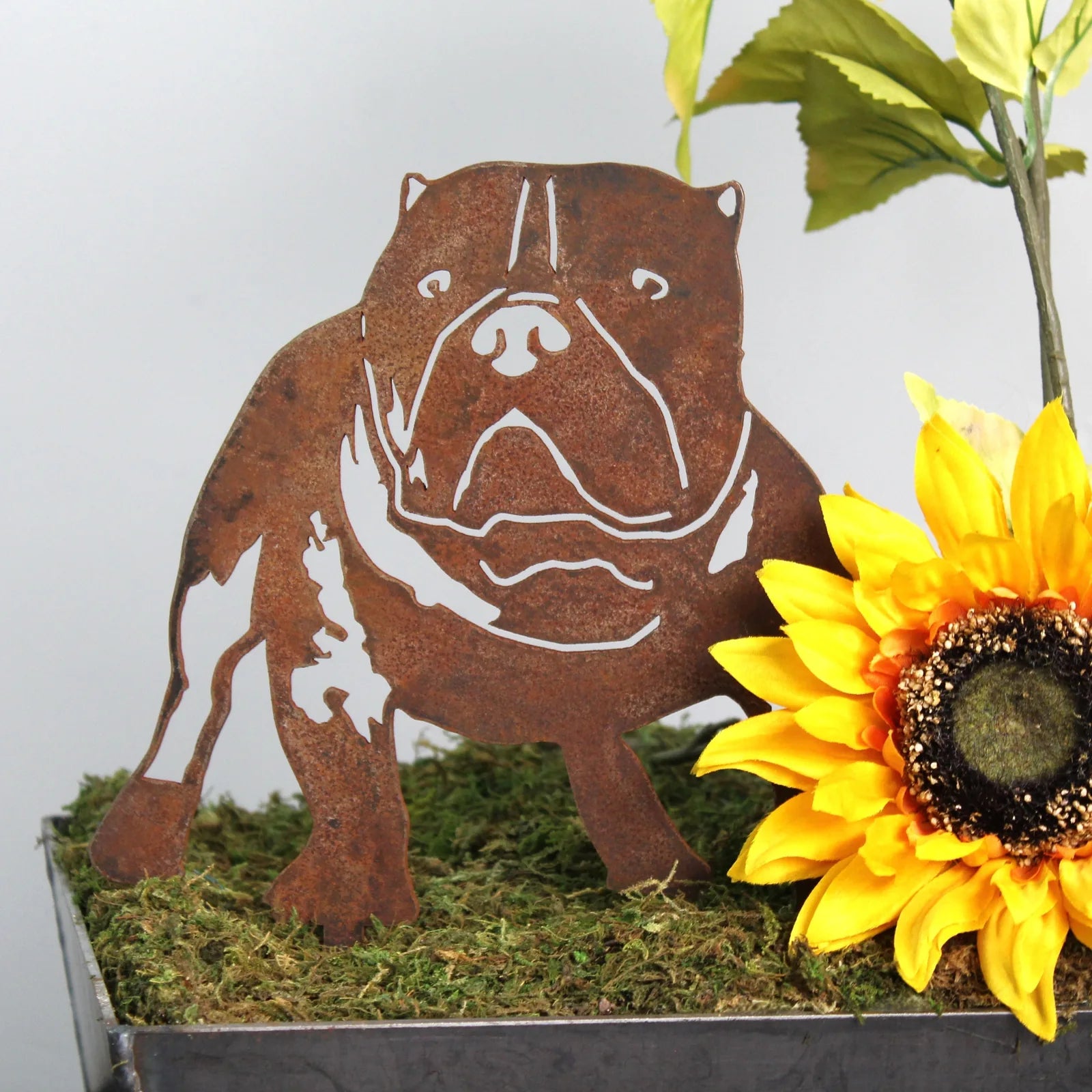 American Bully silhouette in rusted Corten steel beside a vibrant sunflower, set on moss. Perfect for dog lovers' decor.