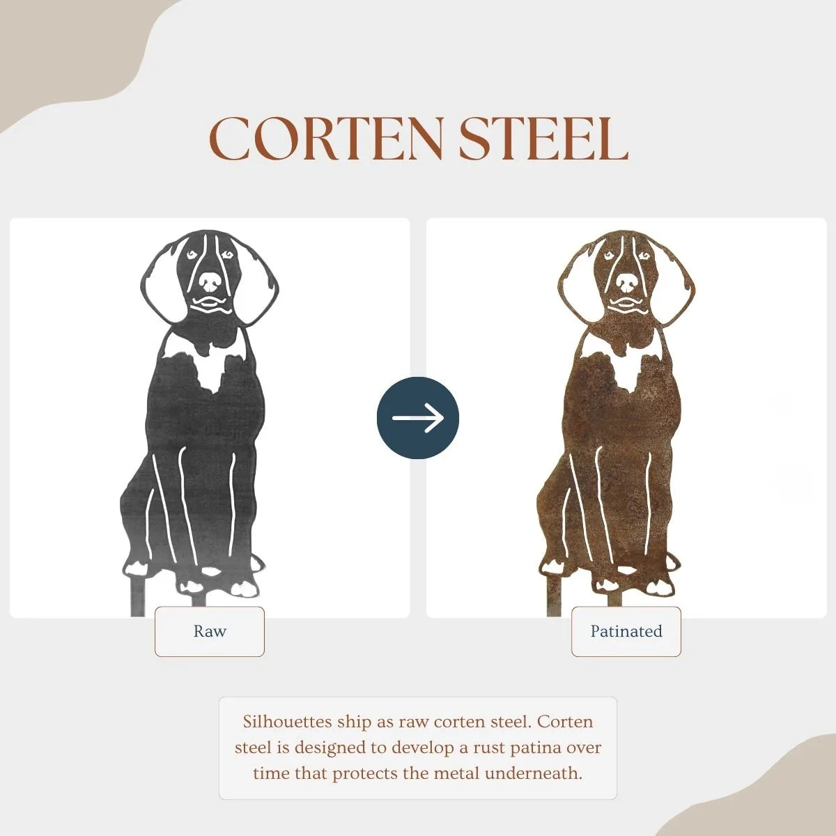 American English Coonhound silhouette in raw and patinated corten steel, showcasing its transformation and rustic charm.