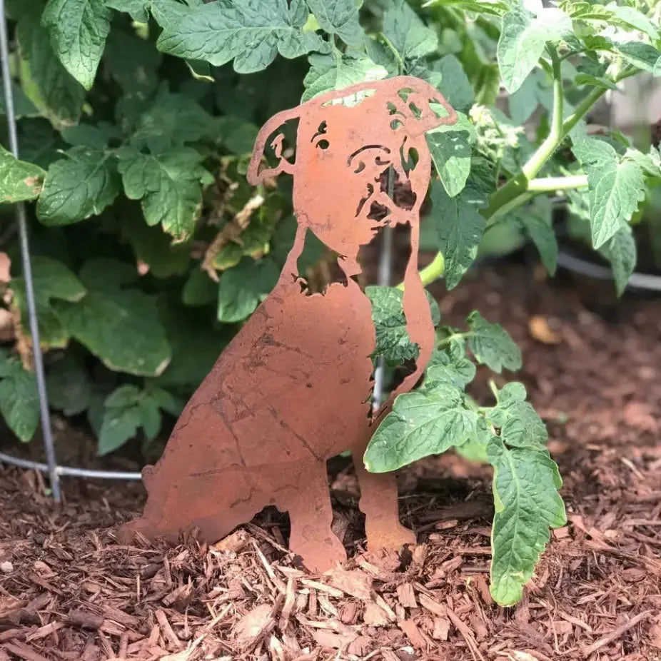 Rusty Corten steel silhouette of an American Pit Bull Terrier, nestled among tomato plants in a garden.