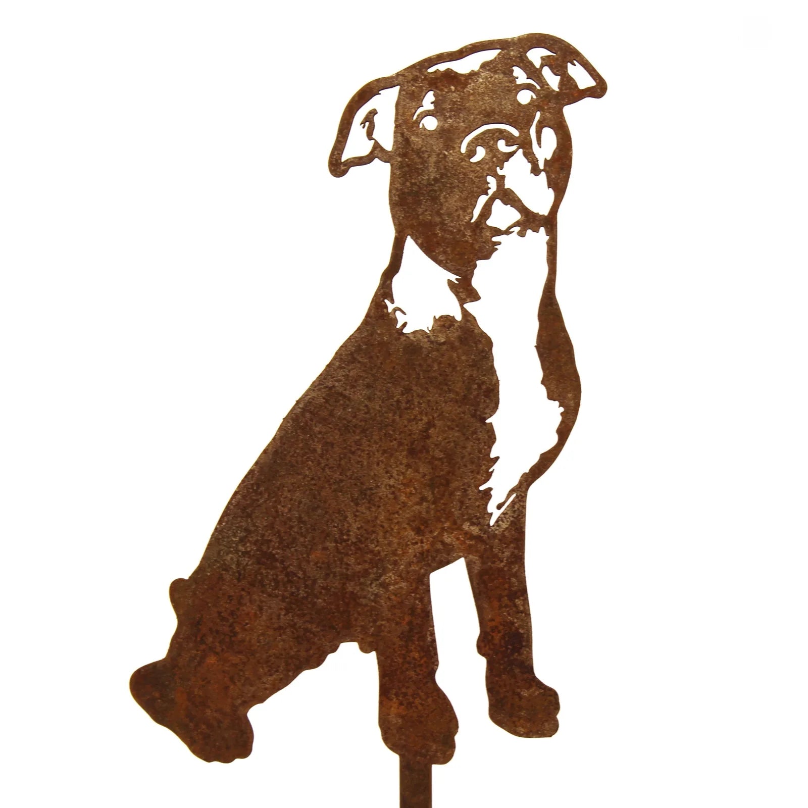 Rusty metal silhouette of an American Pit Bull Terrier, showcasing detailed features and strong posture, ideal for outdoor...