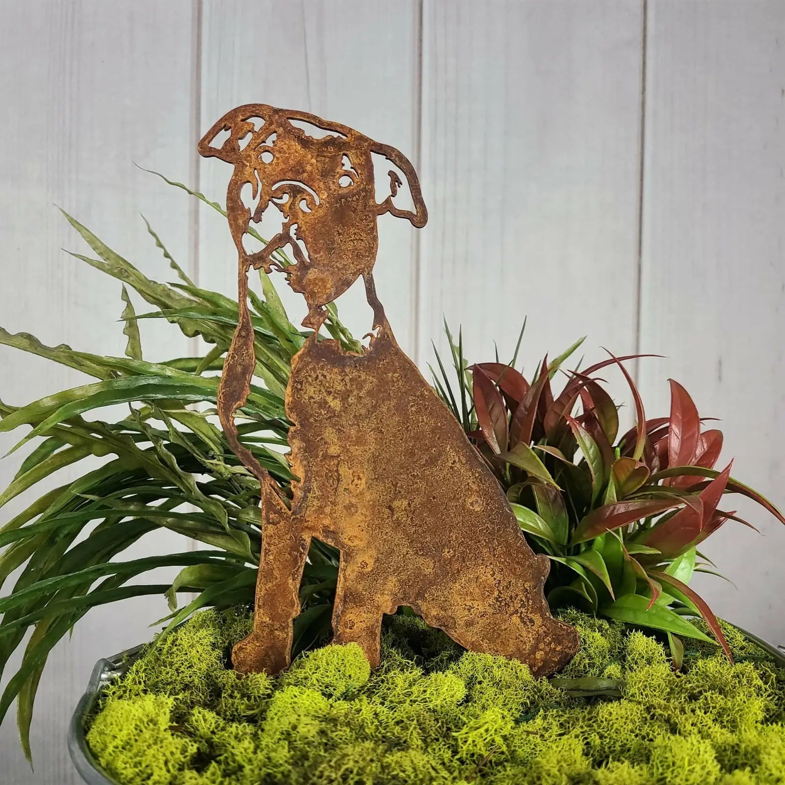 Rusty metal silhouette of an American Pit Bull Terrier amidst green moss and vibrant plants, perfect for outdoor dog decor.