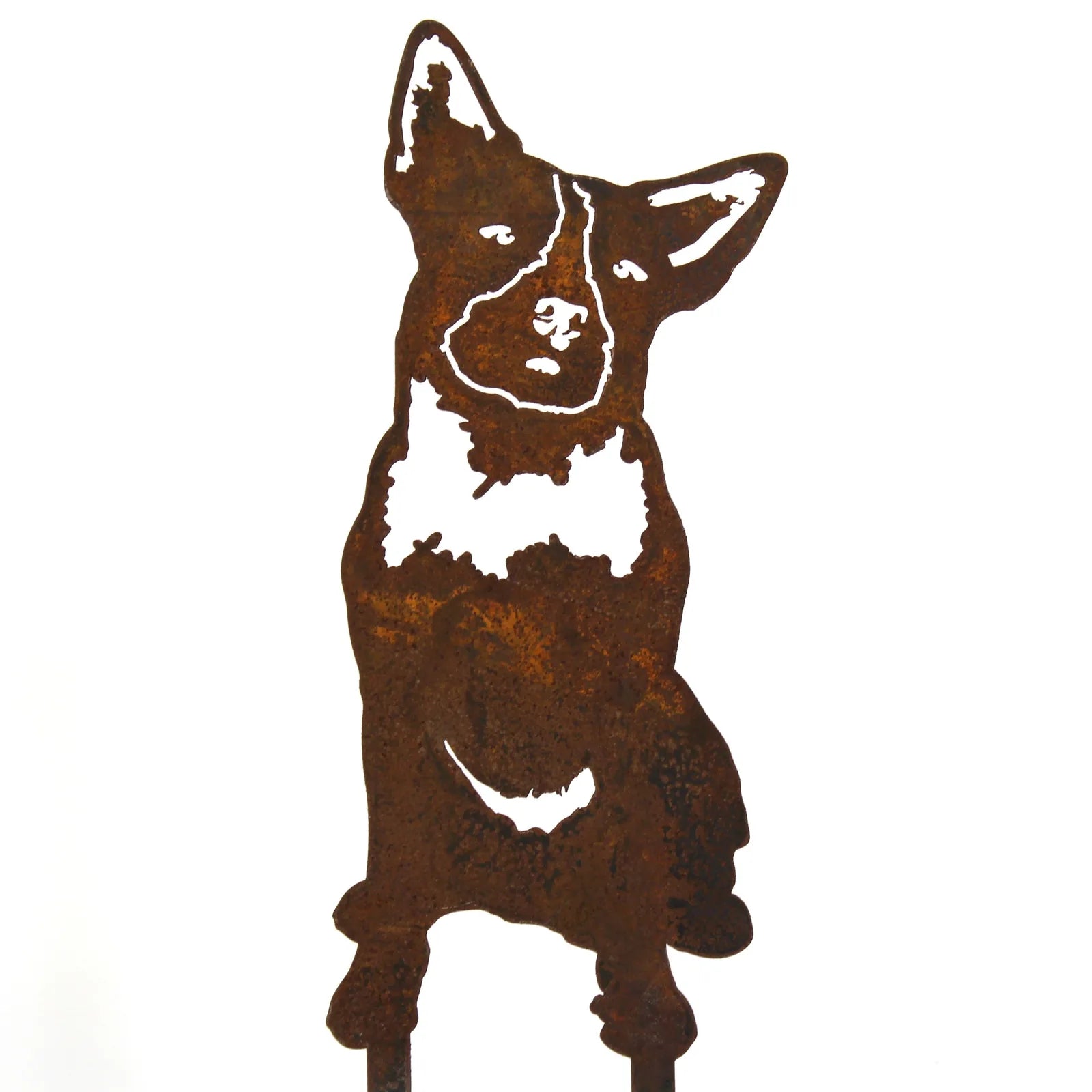 Rusty metal silhouette of an Australian Cattle Dog, showcasing intricate details and a weathered texture.