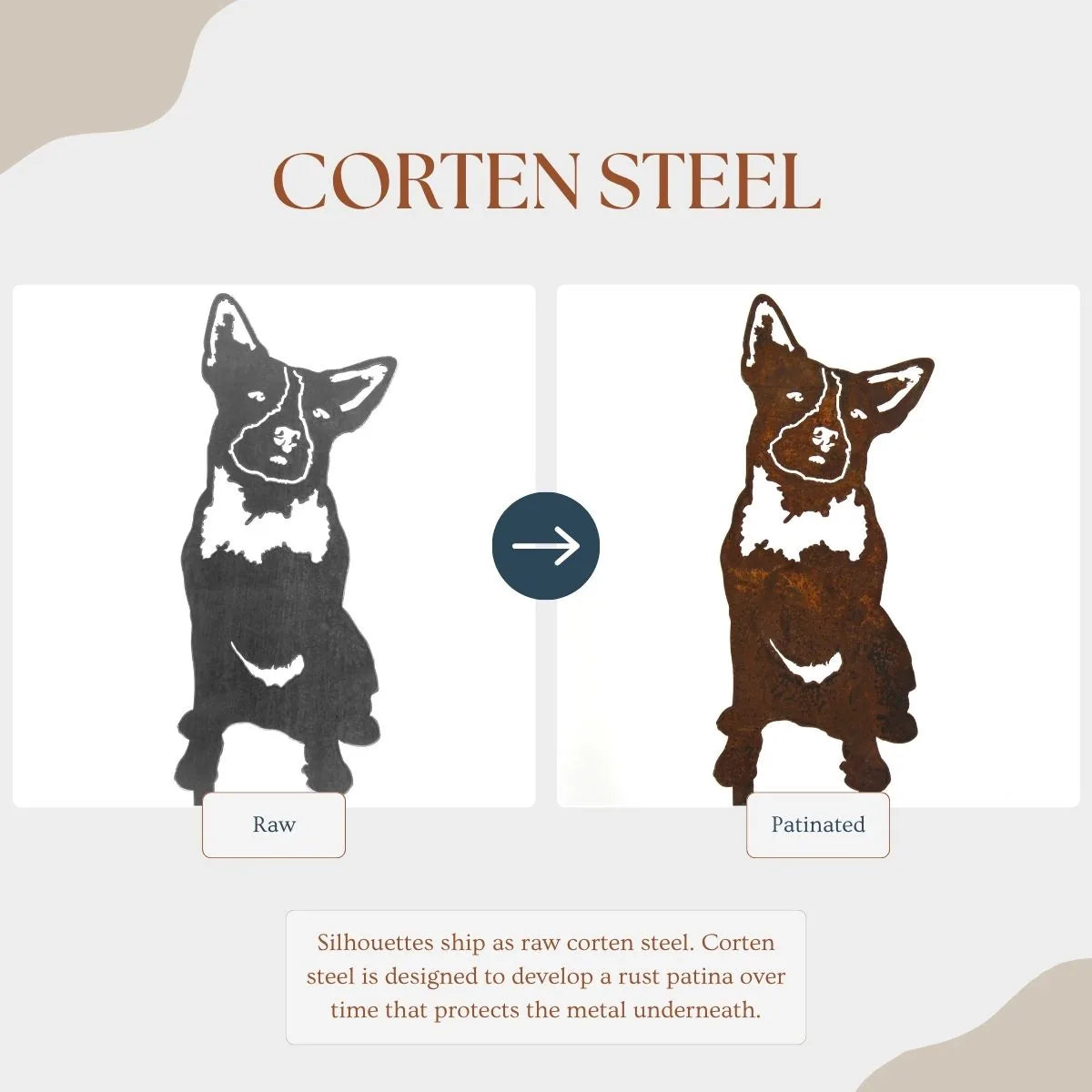 Australian Cattle Dog metal silhouette in raw and patinated Corten steel, showcasing rustic color transformation.