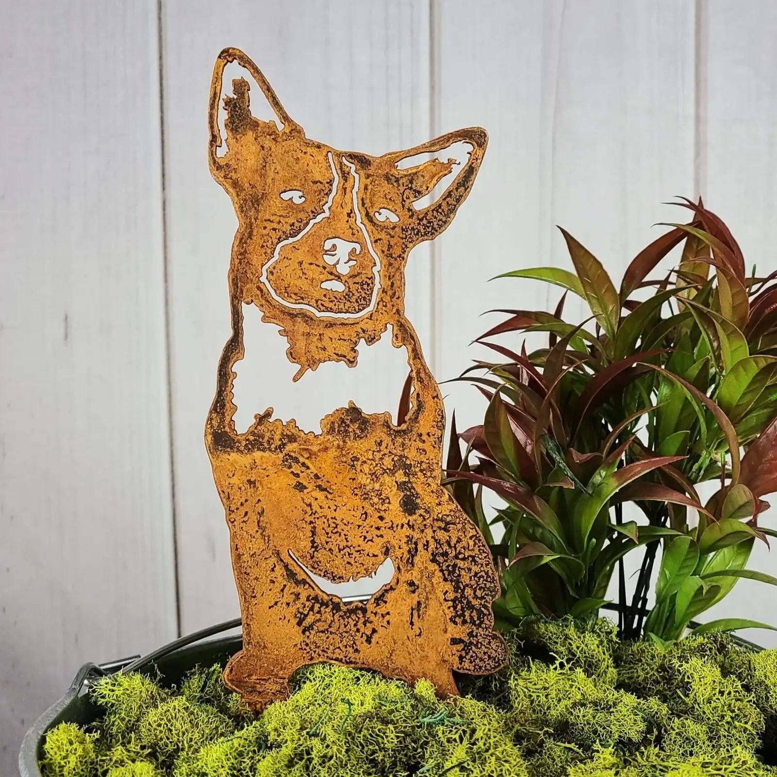 Australian Cattle Dog silhouette in rust-colored Corten steel, nestled in green moss and surrounding plants.