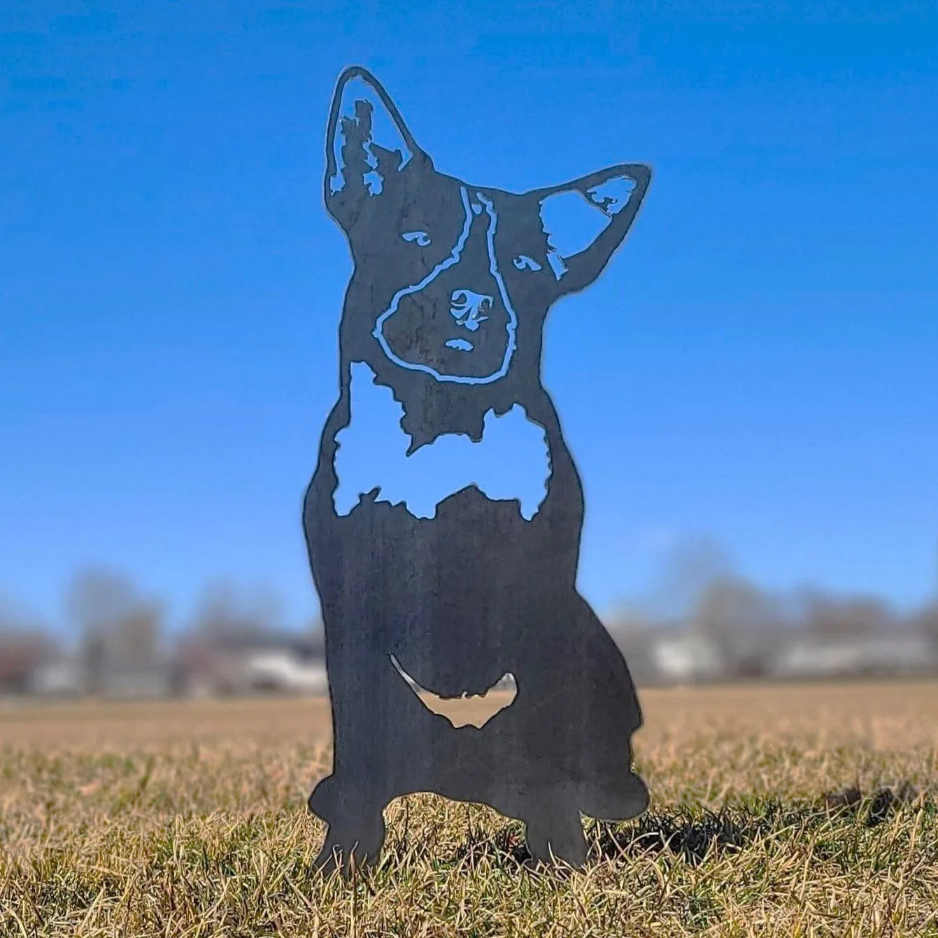 Australian Cattle Dog metal silhouette in black against a blue sky, showcasing detailed cutouts for outdoor decor.