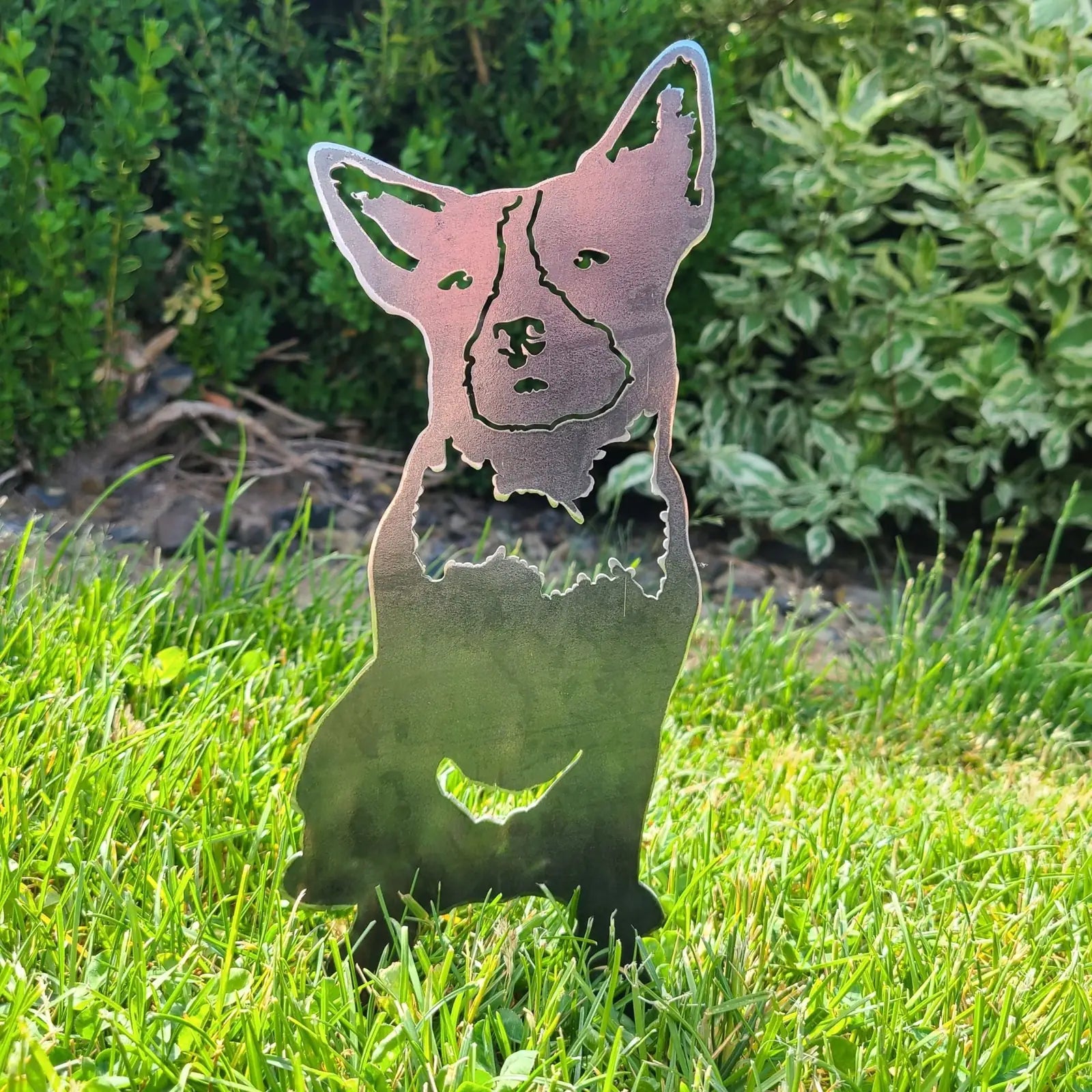 Australian Cattle Dog metal silhouette in Corten steel, set on green grass with outdoor foliage in the background.