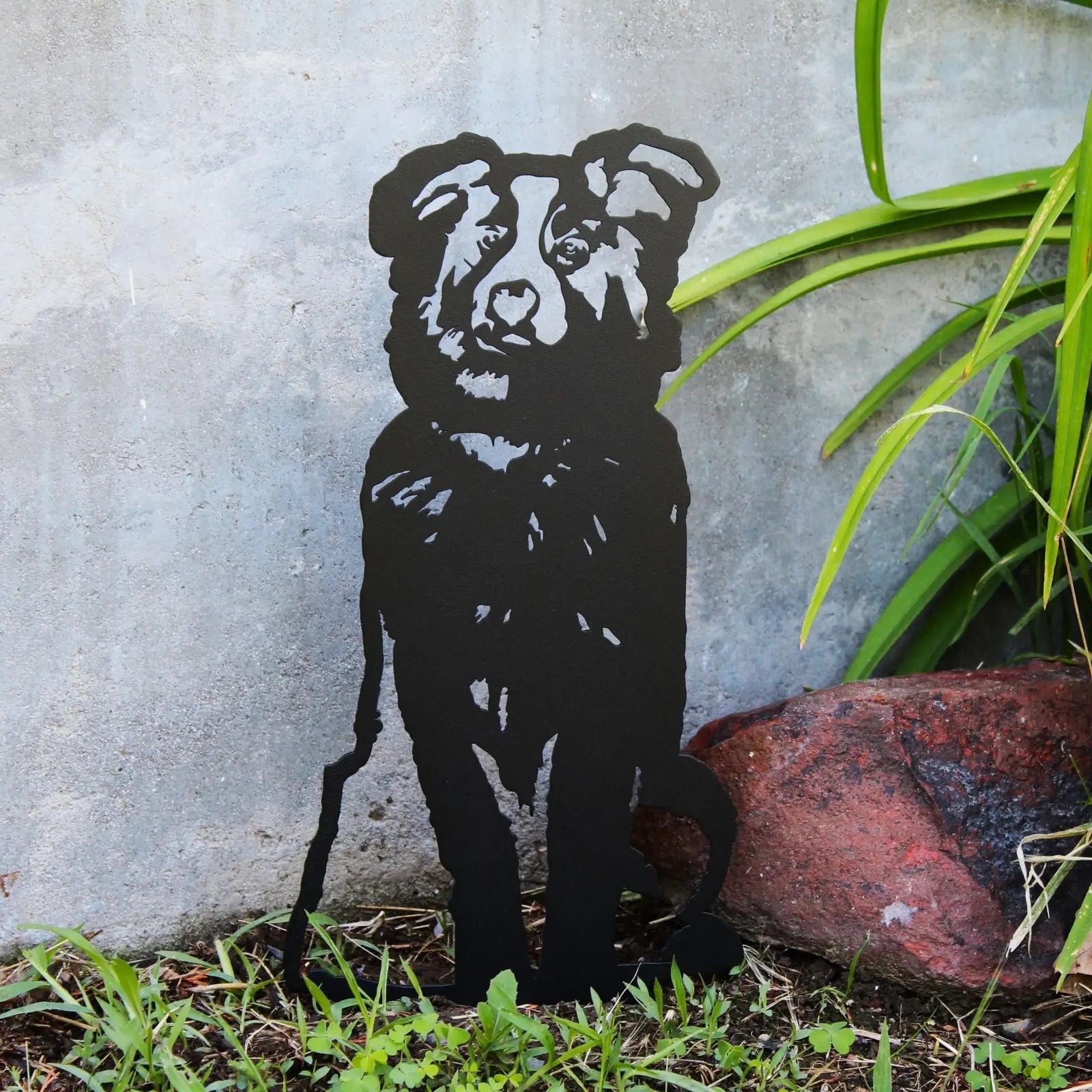 Black Australian Shepherd metal silhouette standing amidst grass and stones, showcasing artistry and weather-resistant des...