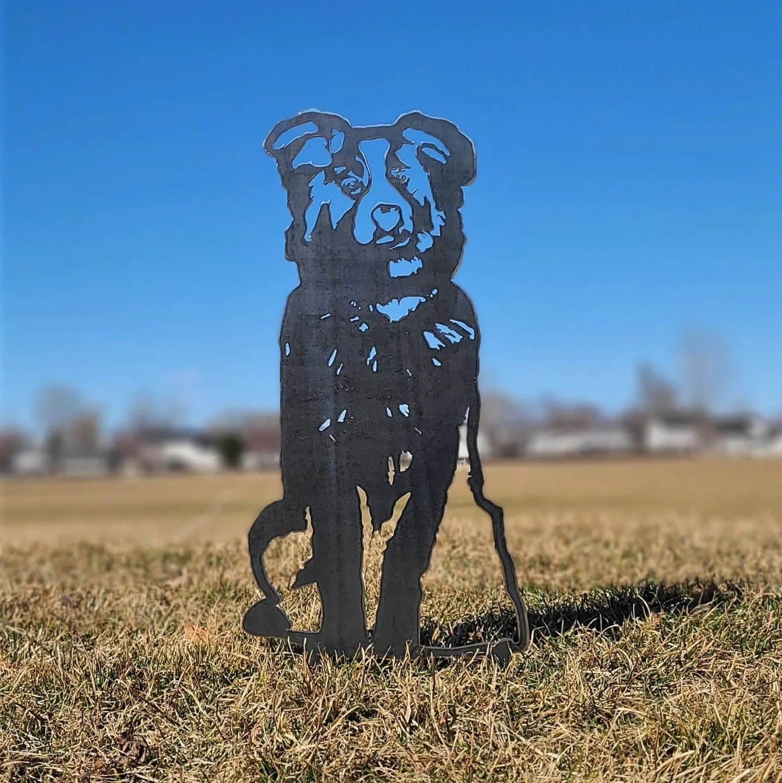 Australian Shepherd metal silhouette in matte black, set against a clear blue sky and grassy field backdrop.