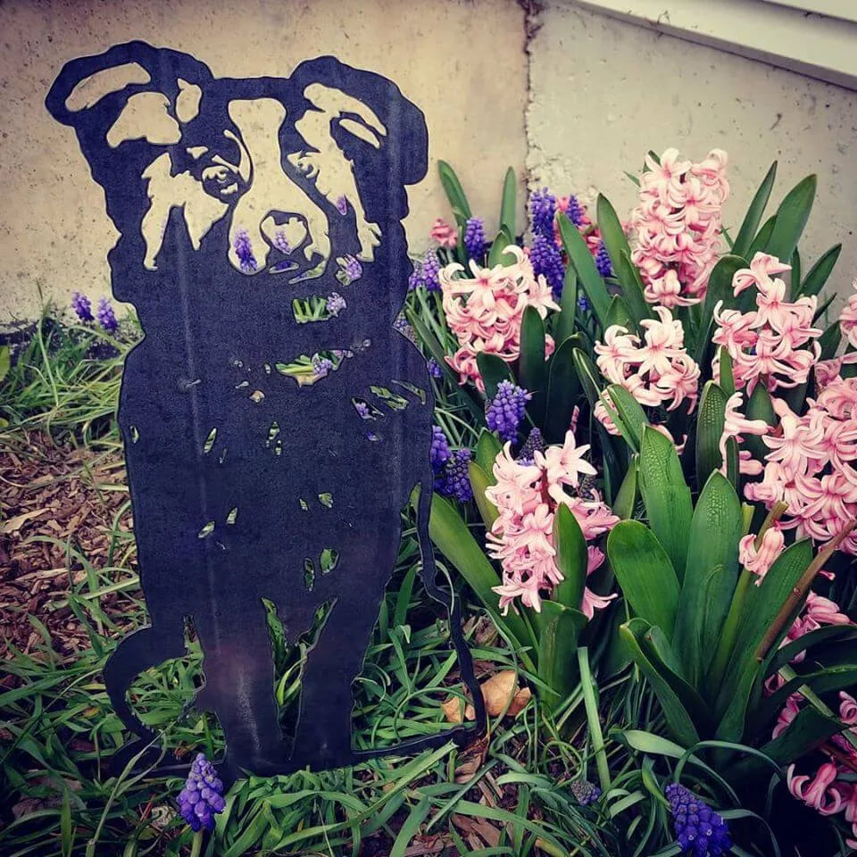 Australian Shepherd metal silhouette stands among pink and purple flowers in an outdoor garden setting.