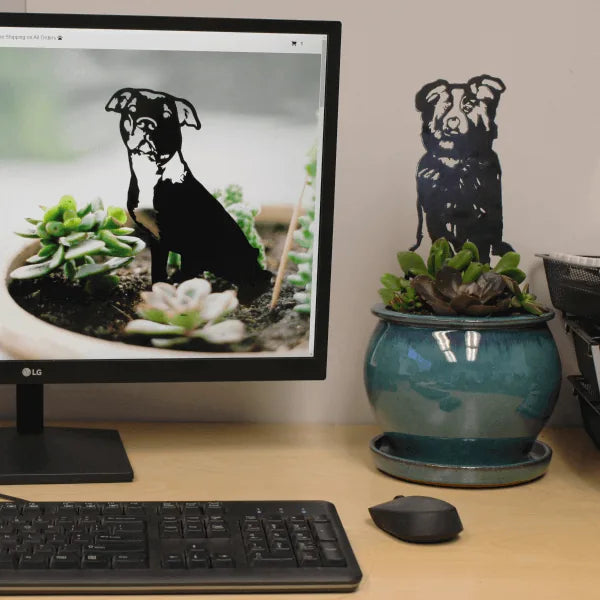 Australian Shepherd metal silhouette beside succulent plants, showcasing a sturdy design and matte black finish.