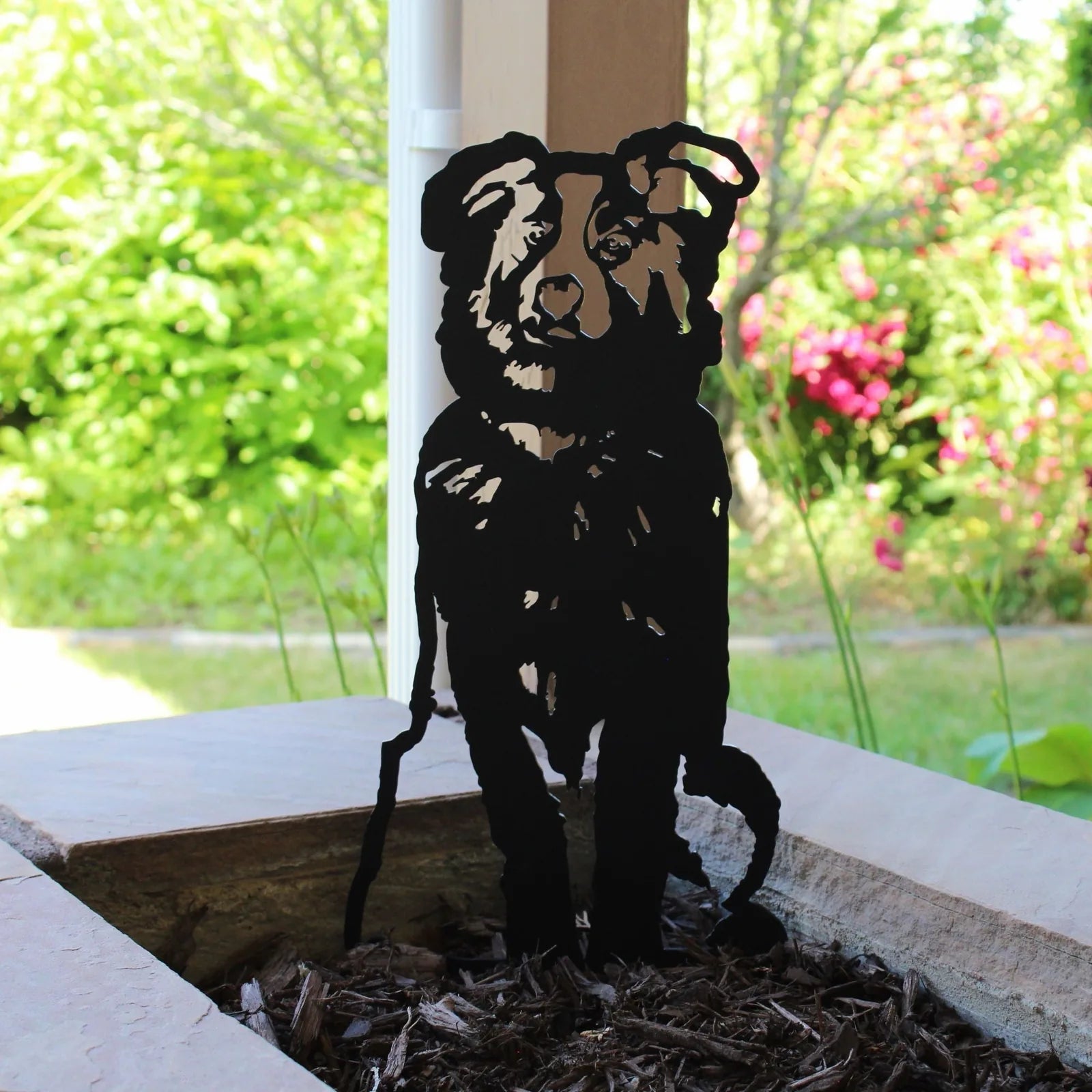 Handcrafted black metal silhouette of an Australian Shepherd, set among mulch with green foliage in the background.