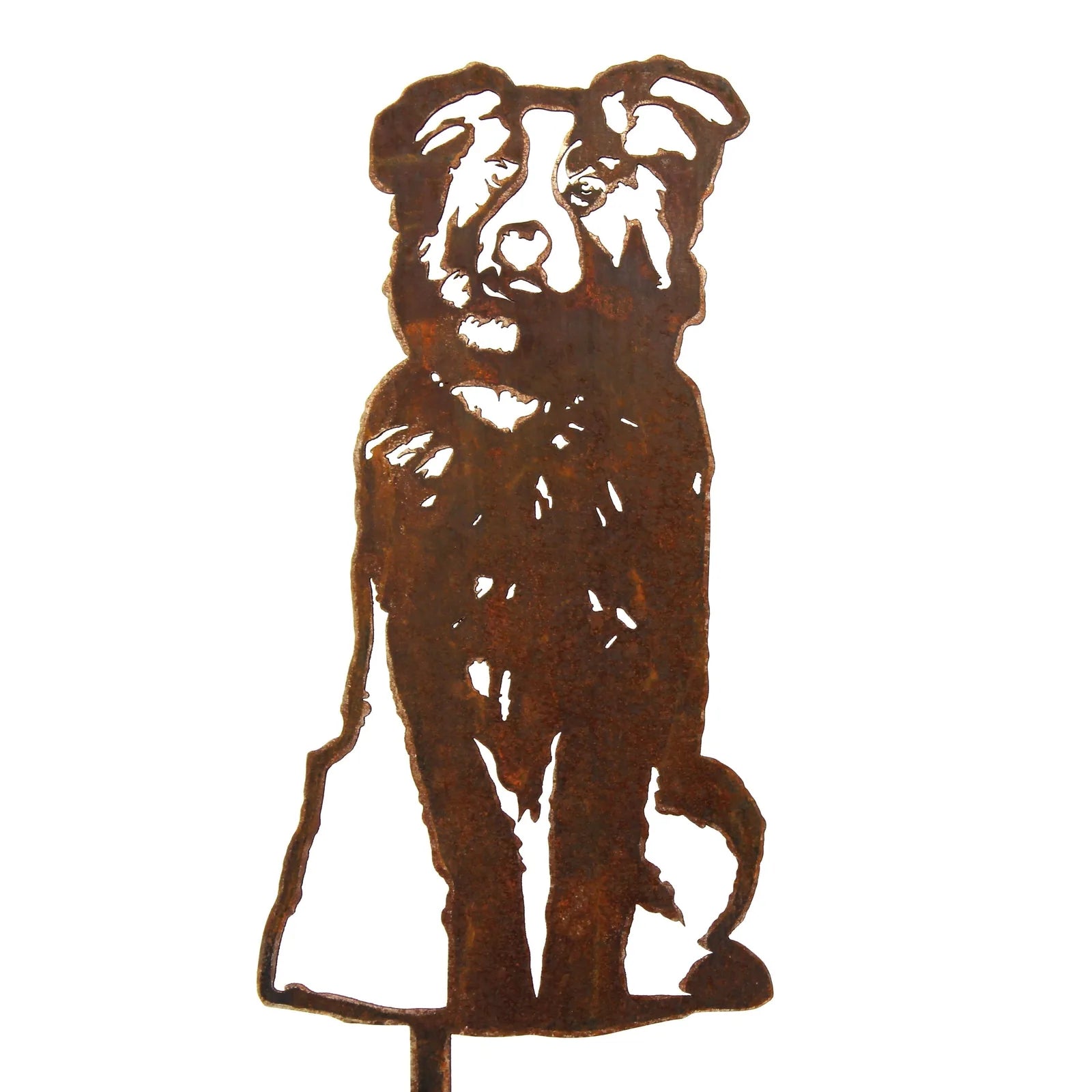 Rust-colored Australian Shepherd metal silhouette, showcasing detailed cutouts of the dog's features, ideal for outdoor de...