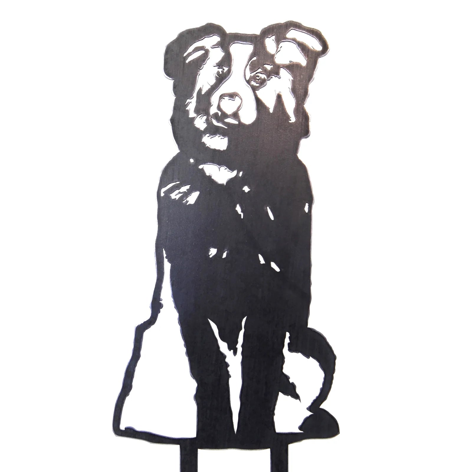 Black metal silhouette of an Australian Shepherd dog, showing intricate details of its features and posture.