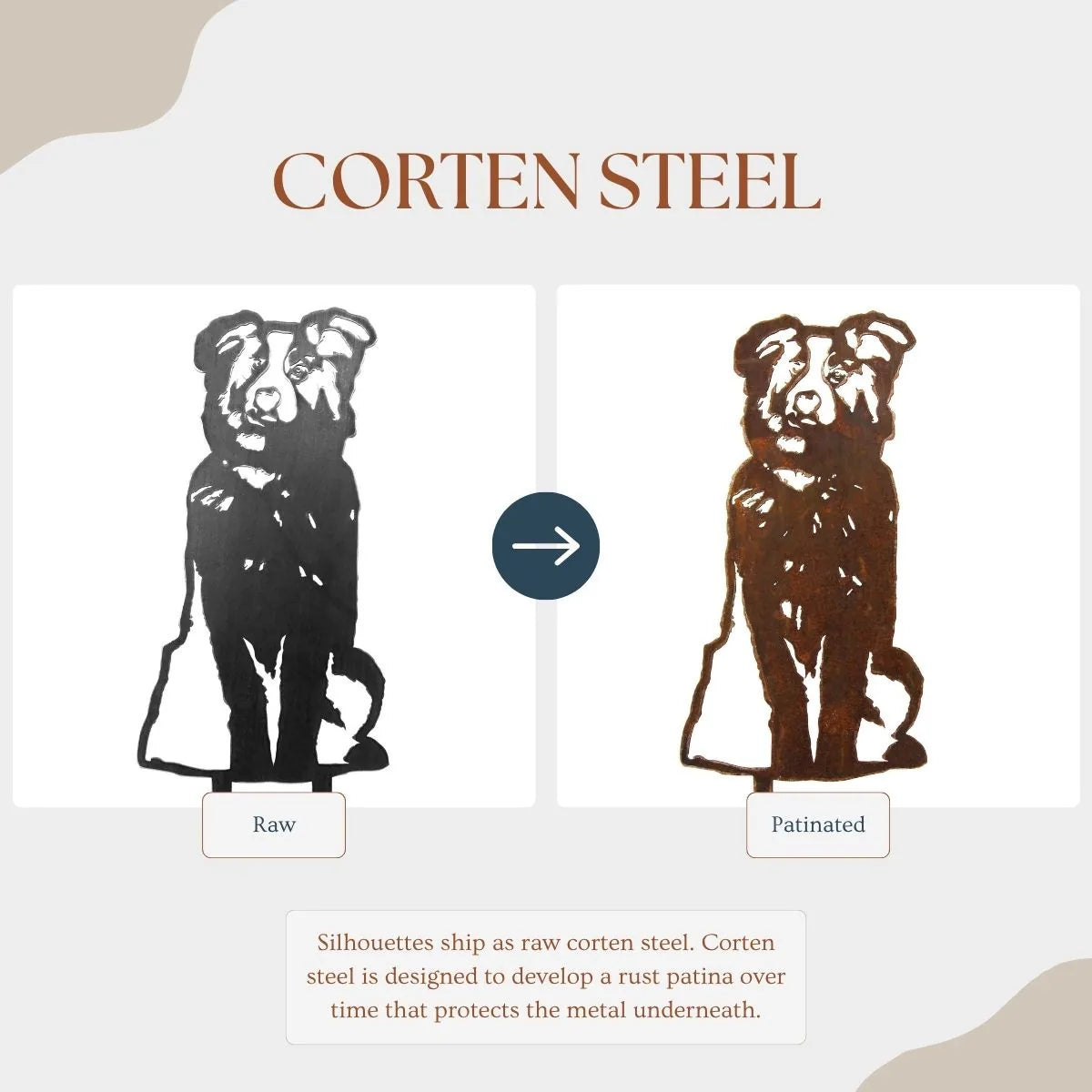 Australian Shepherd metal silhouette in raw Corten steel, showcasing a sleek, hand-cut design for outdoor decor.