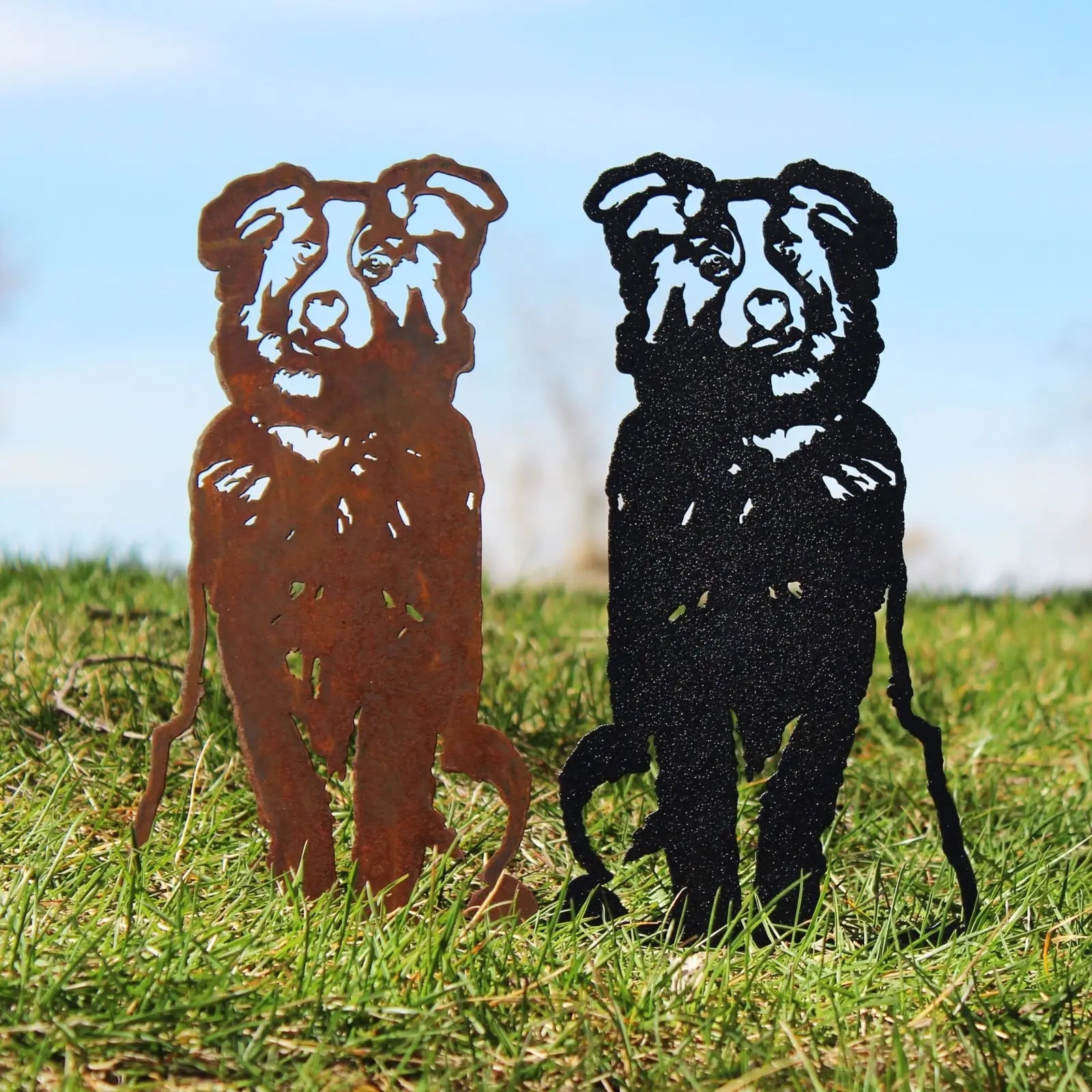 Australian Shepherd metal silhouettes in rusty Corten steel and matte black, standing on grass against a blue sky.