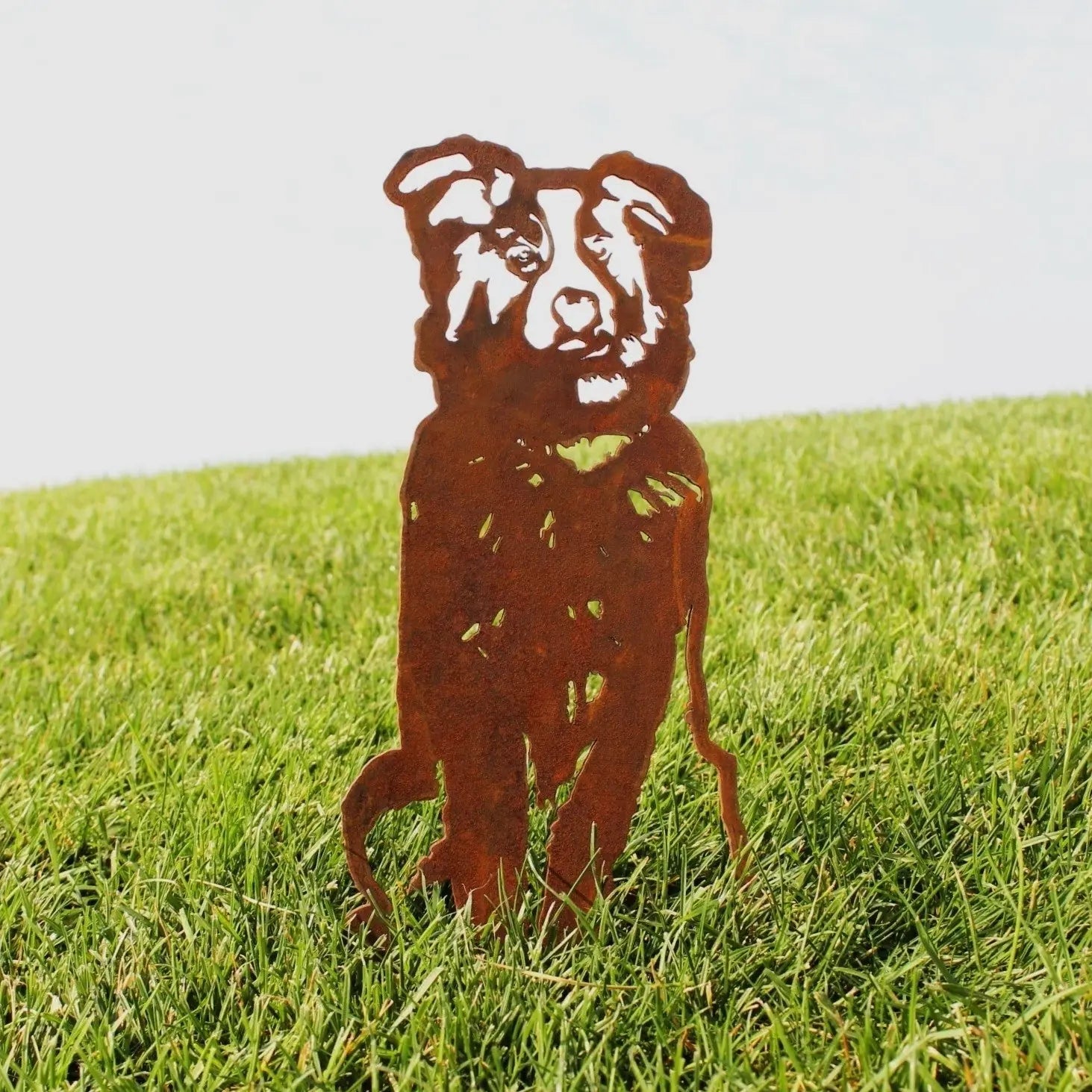 Rust-colored Australian Shepherd metal silhouette standing on green grass, showcasing detailed cut-out design.
