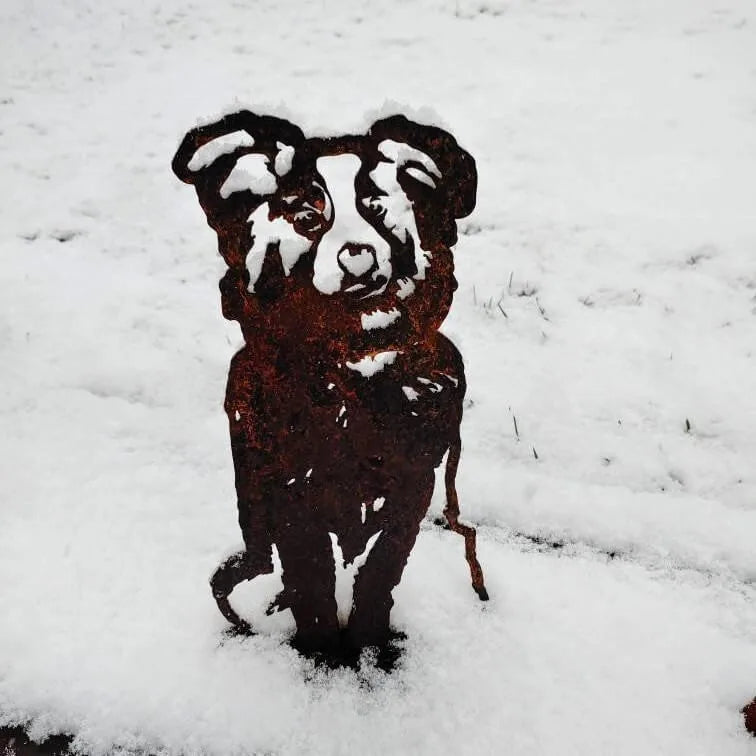 Rusty Australian Shepherd silhouette made of Corten steel, standing in snow with grass visible in the background.