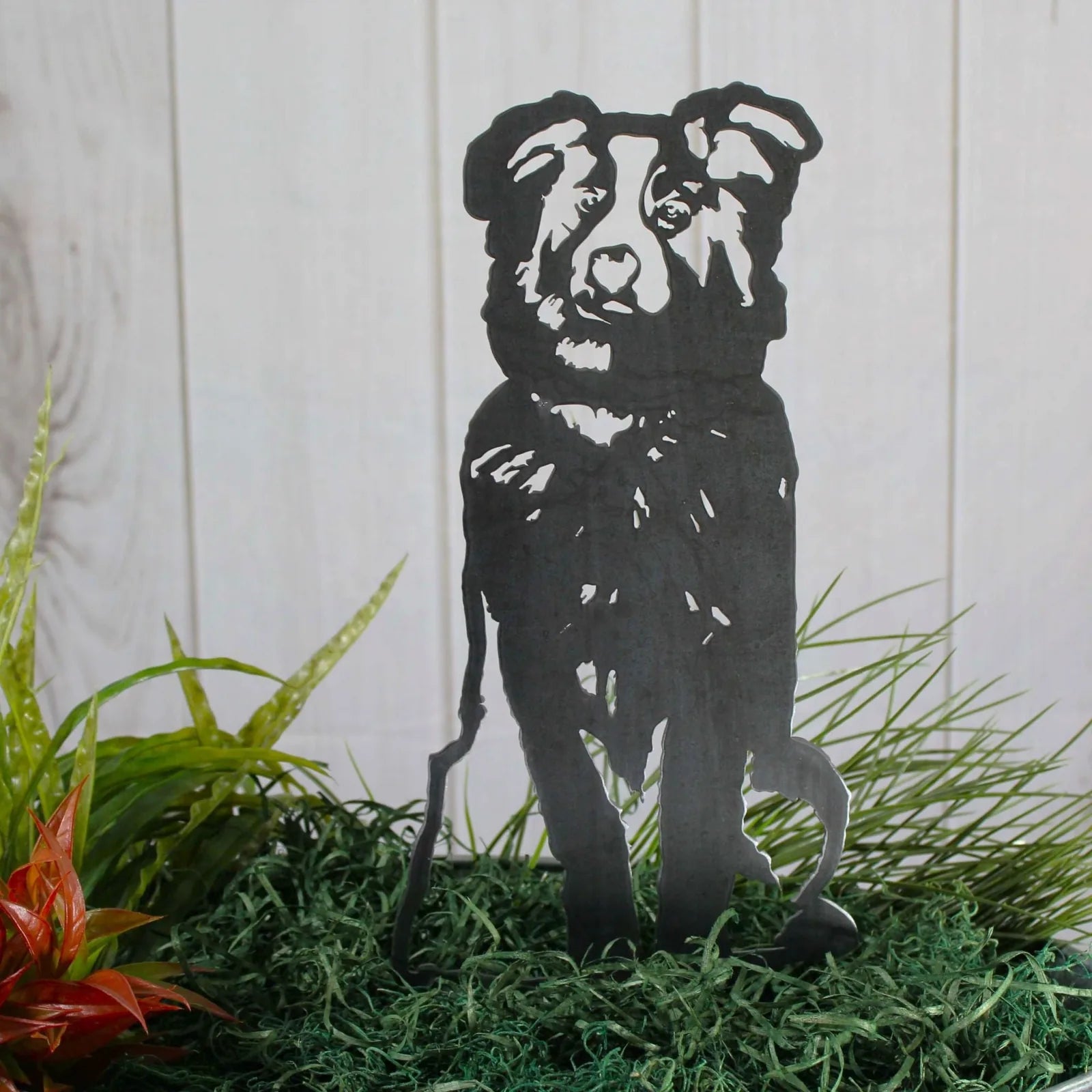 Black metal silhouette of an Australian Shepherd surrounded by green moss and plants, showcasing intricate details.