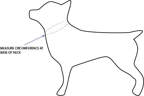 Dog silhouette with a measurement line indicating where to measure the neck circumference for a pet bandana fit.