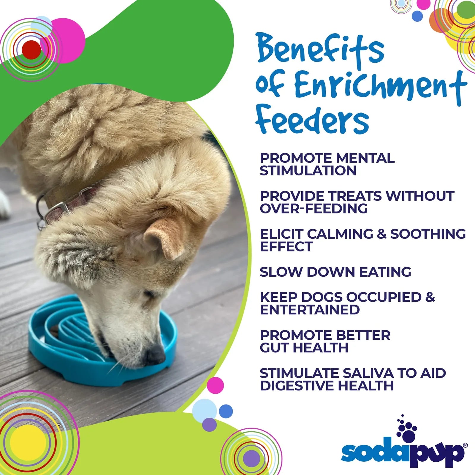 Light blue shallow slow feeder dog bowl with raised ridges, designed to promote mental stimulation and slow eating.
